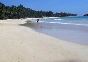 Mirissa Beach