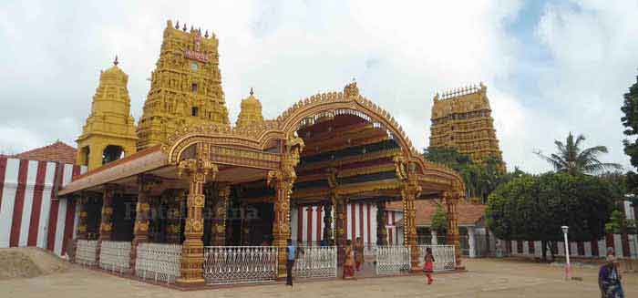 Nallur Murugan Temple Festival